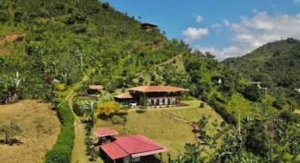 Finca demo tres