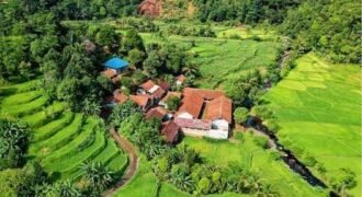 Finca demo seis
